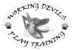 Working Devils - Play Training - Εκπαίδευση Σκύλων - Πιαλόγλου Μαρία-Χριστίνα
